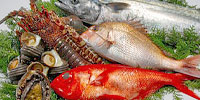輸出水産食品登録魚種一覧ページへジャンプ